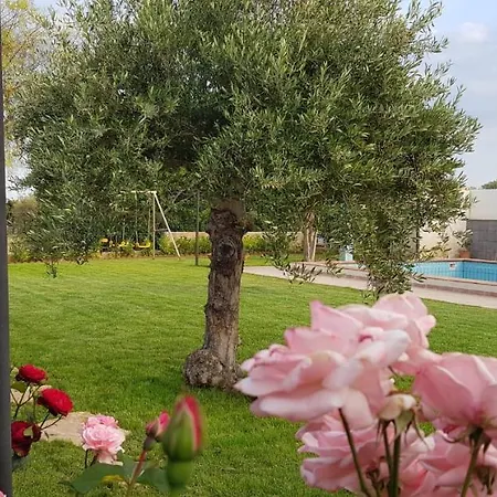 Sesife Apartment *