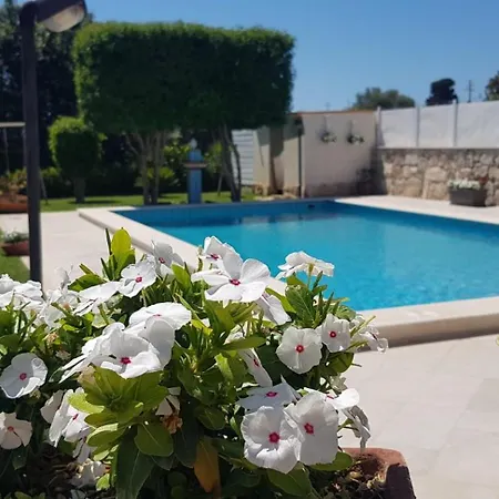 Apartment Sesife *